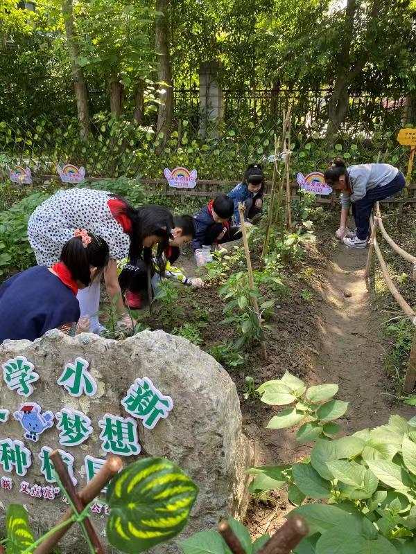 杭州市大学路小学的春假作业亮了(图4)