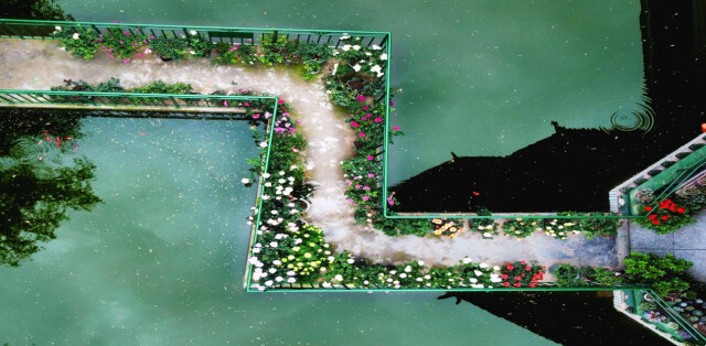 安鄉(xiāng)縣陳家嘴中學：種花種草種初心(圖2)