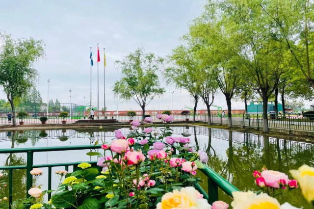 安鄉(xiāng)縣陳家嘴中學：種花種草種初心(圖3)