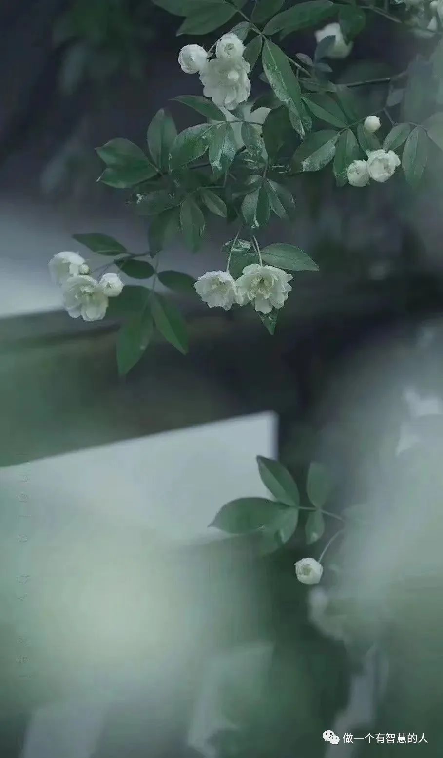 祝福高三，再创辉煌//师生练笔小文三篇（留存）