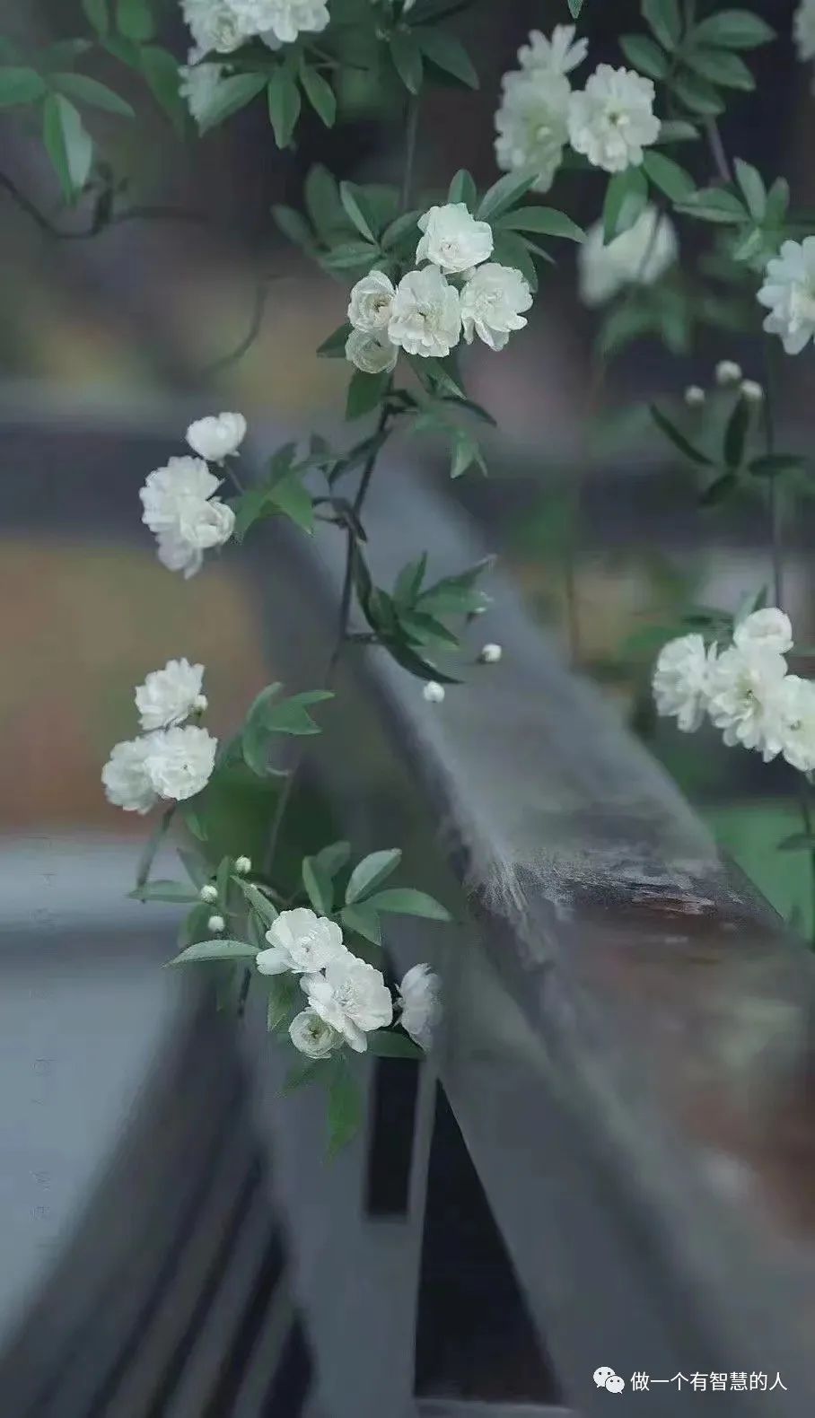 祝福高三，再创辉煌//师生练笔小文三篇（留存）