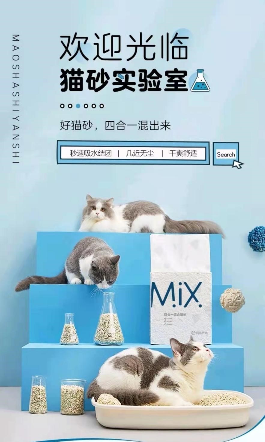 京東寵物發布貓咪居家防疫行為指南：喝水少、不停抓撓等五大居家常見行為如何應對？