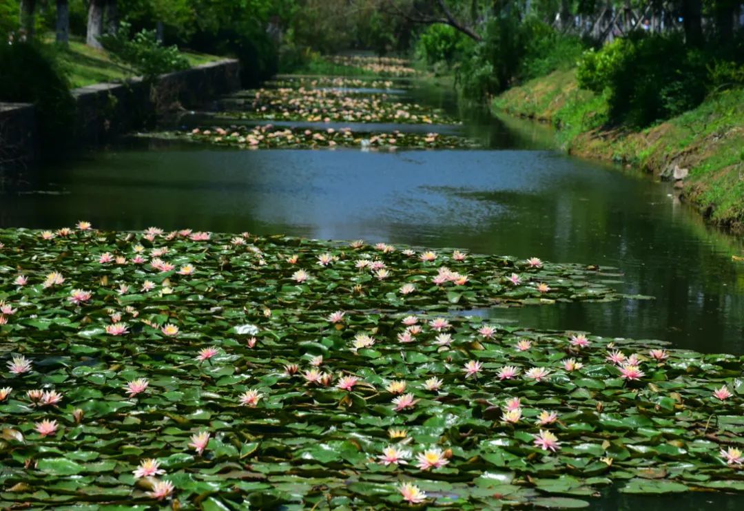 「今日早报」热搜第一！教育部：9月正式实施