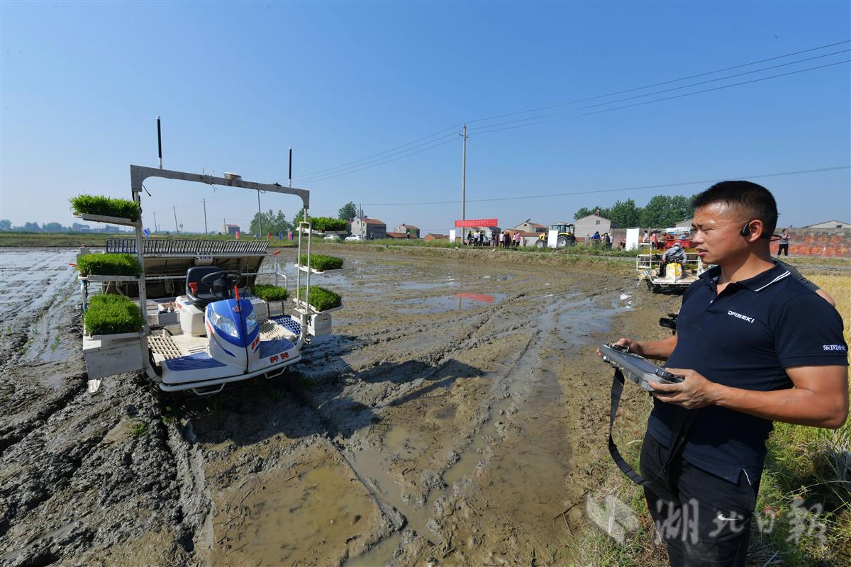 無人駕駛水稻插秧機(jī)“大顯身手”