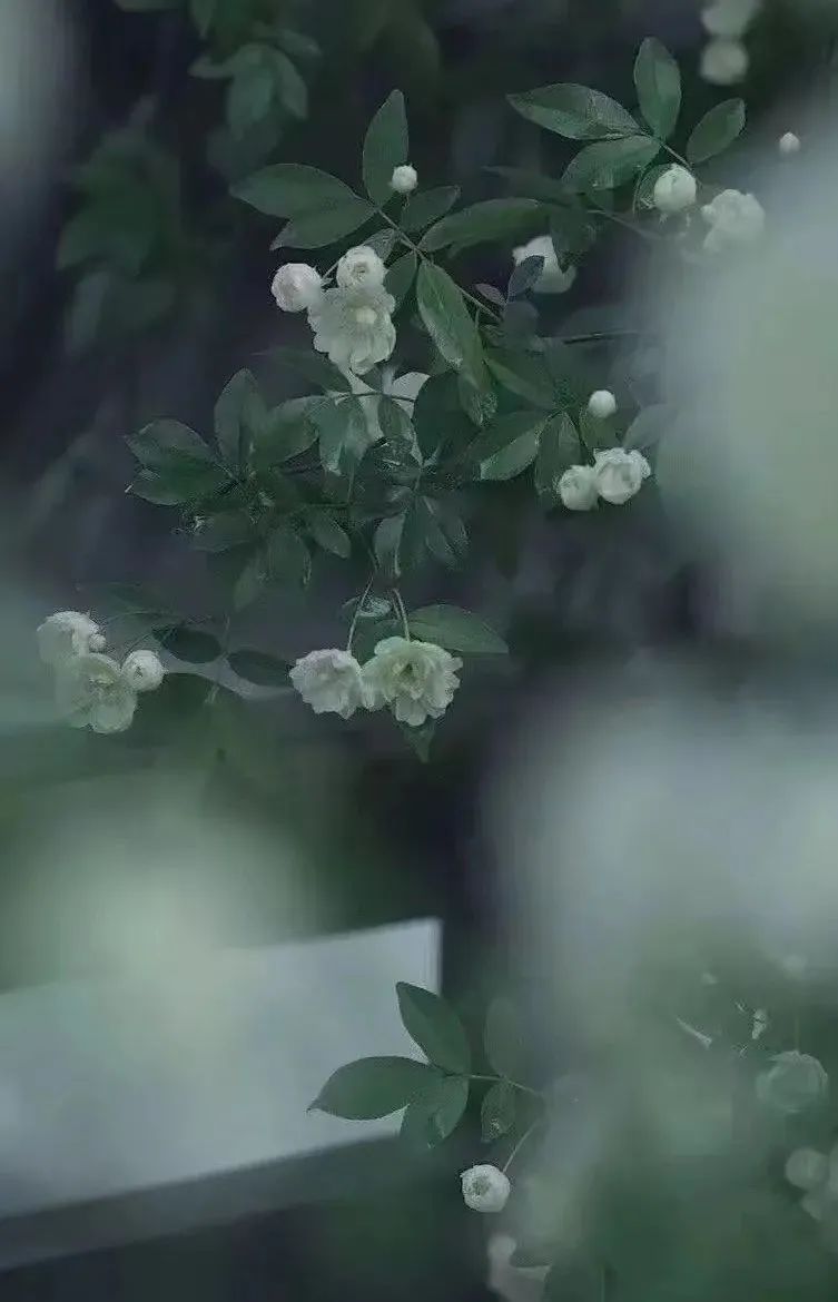 祝福高三，再创辉煌//师生练笔小文三篇（留存）