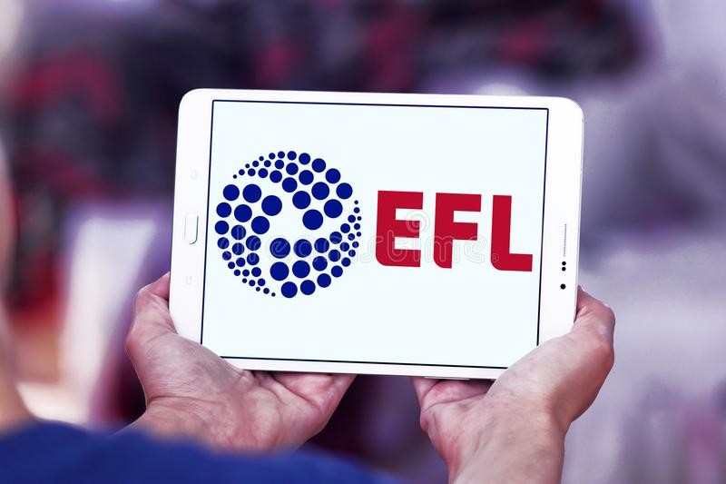 英冠升级到英超有什么变化（足球金融专家：英冠升级附加赛赢家可获得大约1.7亿镑收入）-华海博客