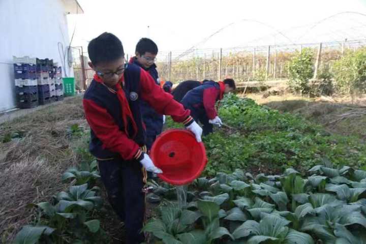 常山县第一小学推出“双减+”式的奖励(图1)