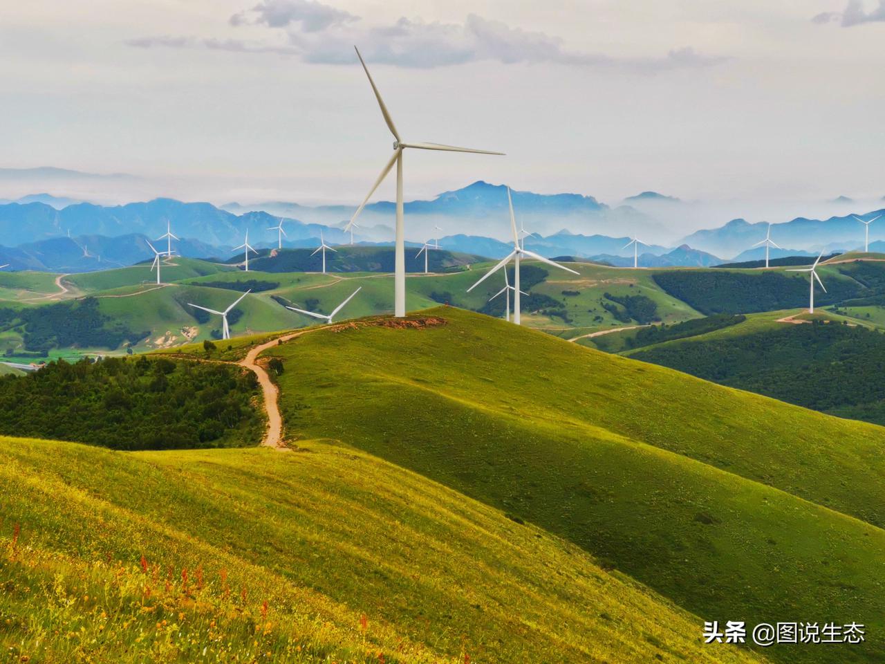 天路：凝结了林区人昨天的爱恋