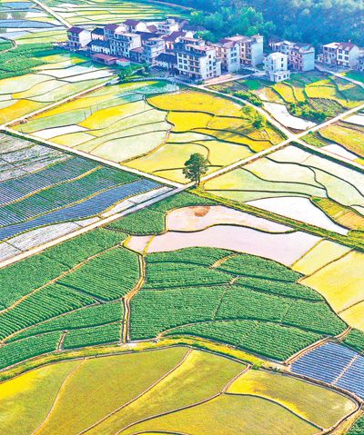 农业增效 农民增收