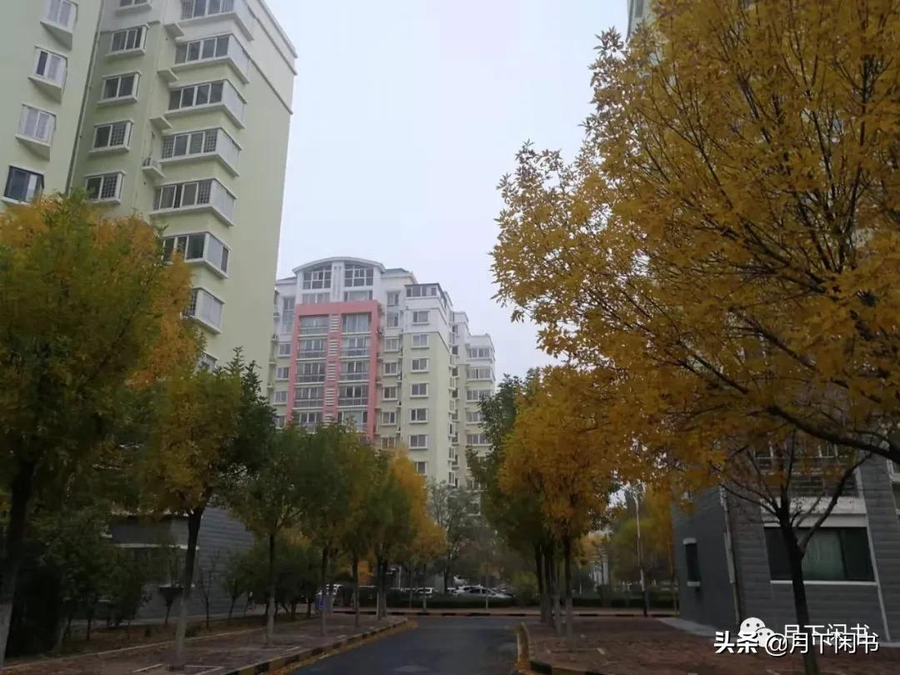 青未了｜高三家长和孩子，都得换换位，都是奋斗者