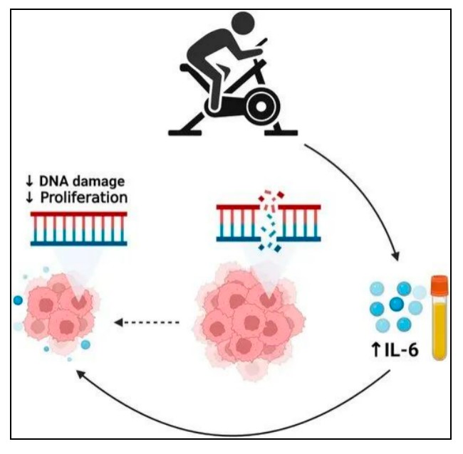 Ϊʲô�˶����Է������˶�ʹ��ϸ�����ۿɼ��ء���ʧ��