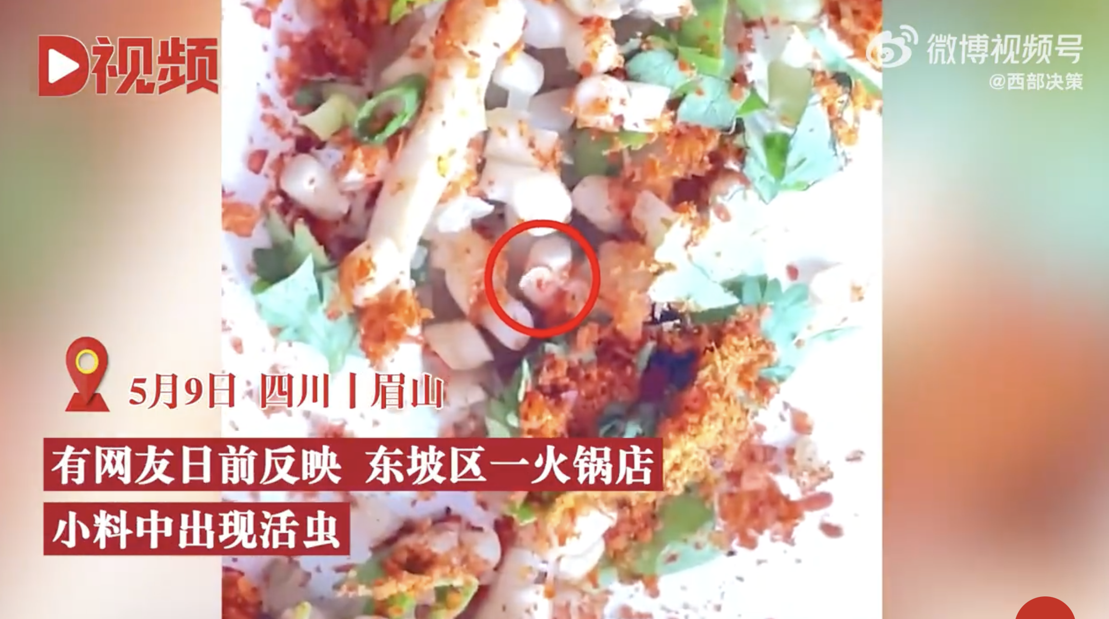 �Ĵ�һ����걻��С�����л�棬��ң����̲��е��γ棬�˿�����10���ѱ���