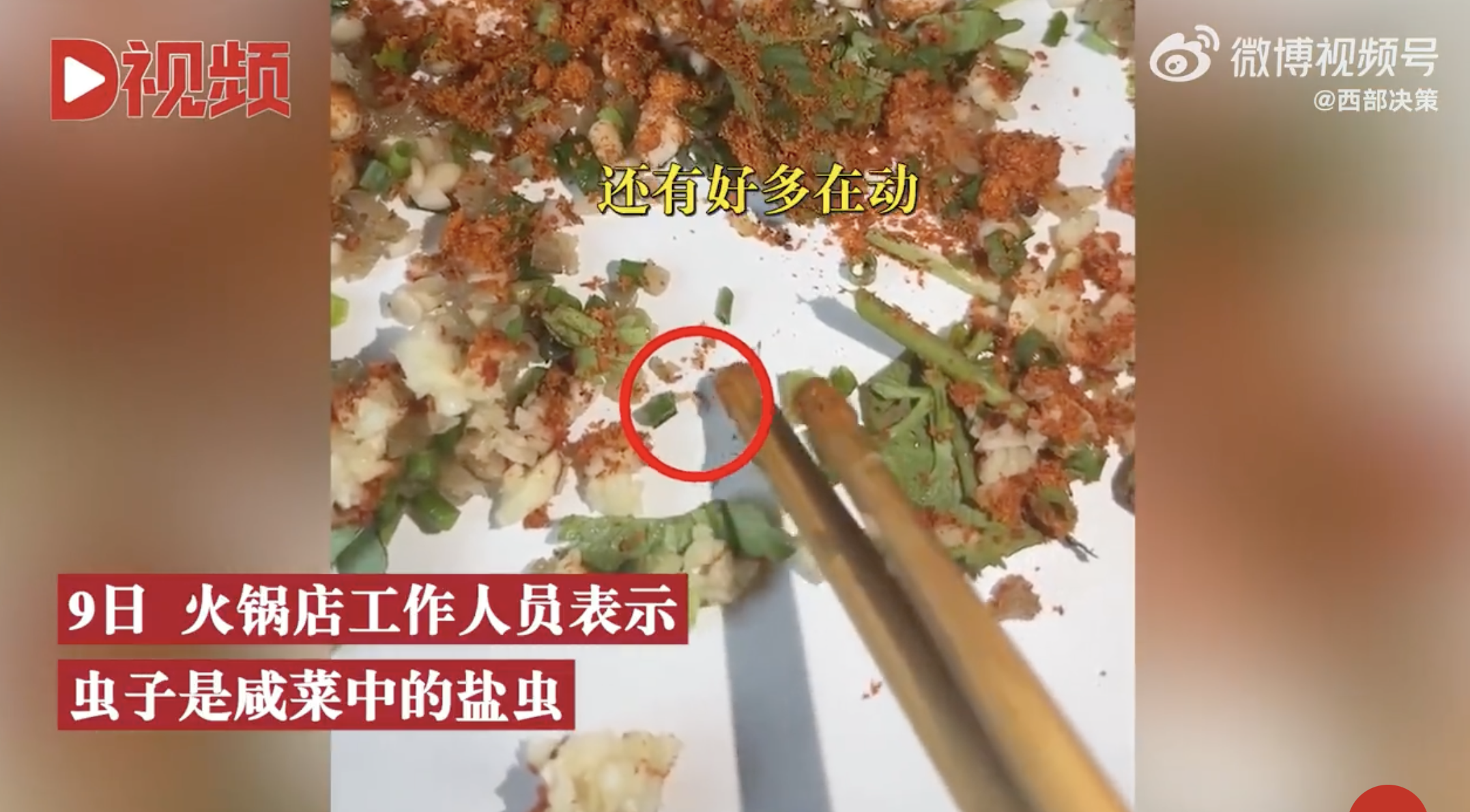 �Ĵ�һ����걻��С�����л�棬��ң����̲��е��γ棬�˿�����10���ѱ���