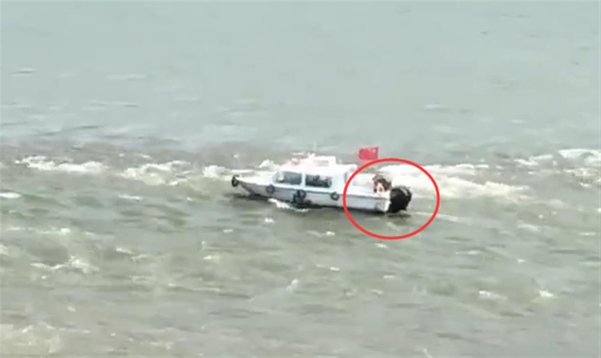 ���ӵ�������ˮ�������꽭����Ԯ��Ա�׾���Ȧʩ��