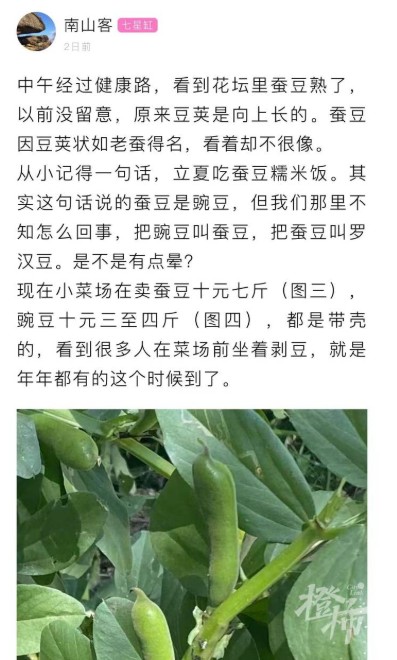 黄豆是什么豆（黄豆是什么豆晒的）-第1张图片-昕阳网