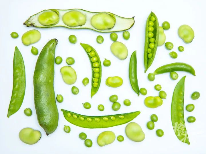 黄豆是什么豆（黄豆是什么豆晒(shai)的）-大连信息网