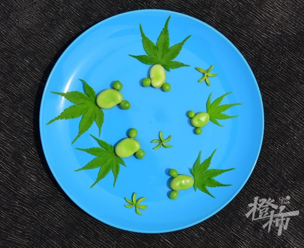 黄豆是什么豆（黄豆是什么豆晒的）-第5张图片-昕阳网