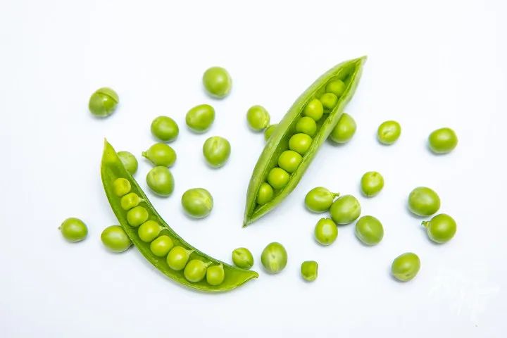 黄豆是什么豆（黄豆是什么(me)豆晒的）-大连信息网