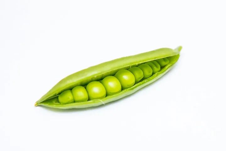 黄豆(dou)是什么豆（黄豆是什么豆晒的）-第7张图片-大连信息网