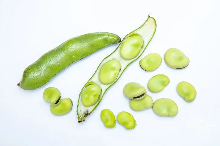 黄豆是什么豆（黄豆是什么豆晒的）-第10张图片-大连信息(xi)网