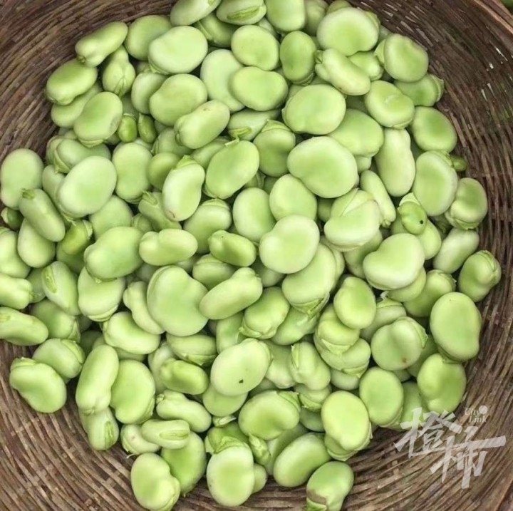 黄豆是什么豆（黄豆是什(shi)么豆晒的）-第13张(zhang)图片-大连信息网