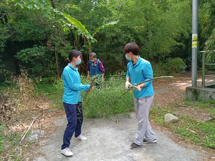 新鲜的牧草来了，安吉的竹子也来了，保供上海动物园的动物在行动