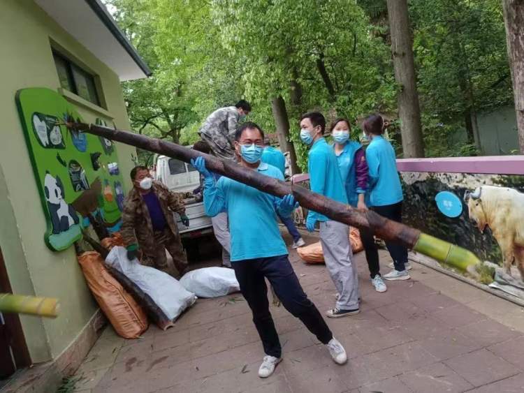 新鮮的牧草來了，安吉的竹子也來了，保供上海動物園的動物在行動