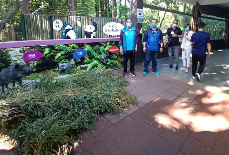 新鮮的牧草來了，安吉的竹子也來了，保供上海動物園的動物在行動