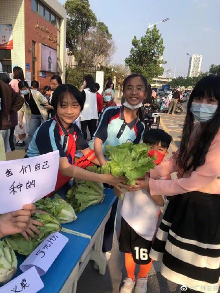 廣州市荔灣區(qū)增滘小學(xué)天臺建起“芳草園”(圖2) 廣州市荔灣區(qū)增滘小學(xué)天臺建起“芳草園”(圖2)