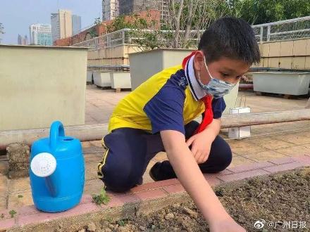 廣州市荔灣區(qū)增滘小學(xué)天臺建起“芳草園”(圖6) 廣州市荔灣區(qū)增滘小學(xué)天臺建起“芳草園”(圖6)