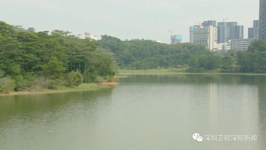 深圳或将持续强降水！这份防御指引速看