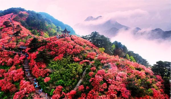 春生夏长万物并秀！文旅部推荐全国乡村旅游精品路线（湖北篇下）