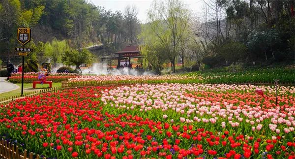 春生夏长万物并秀！文旅部推荐全国乡村旅游精品路线（湖北篇下）