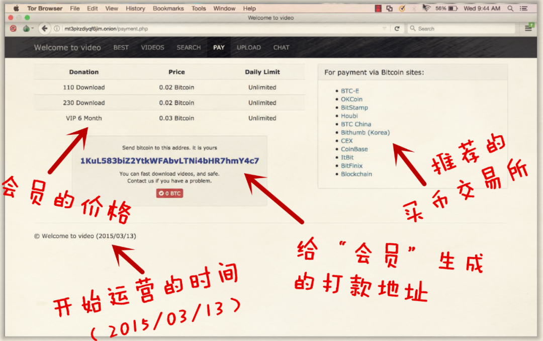 不腐的罪证：比特币白夜追凶纪实