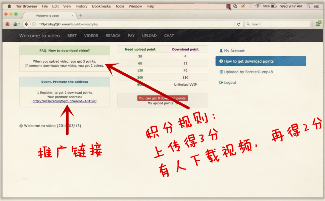 不腐的罪证：比特币白夜追凶纪实