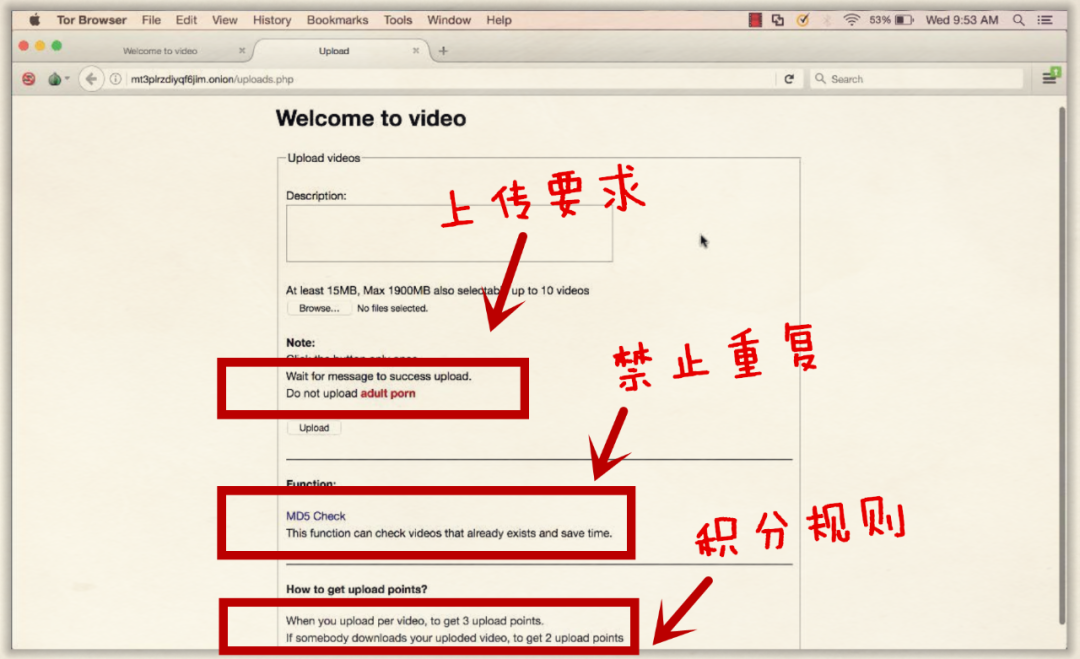 不腐的罪证：比特币白夜追凶纪实