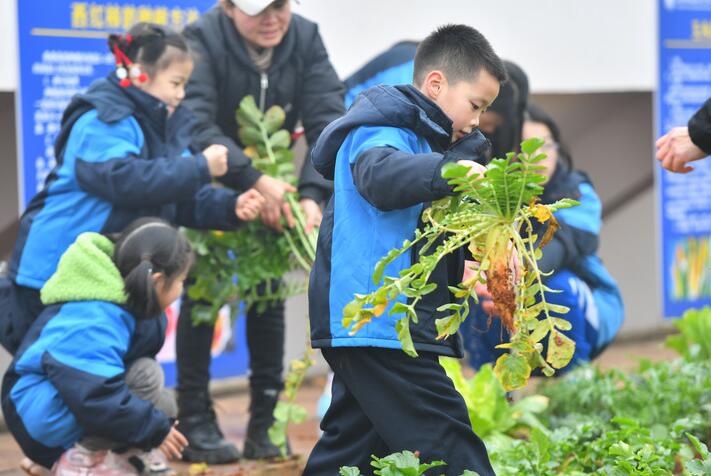 孩子们，上劳动课了！——聚焦中小学新版劳动课几个关注点