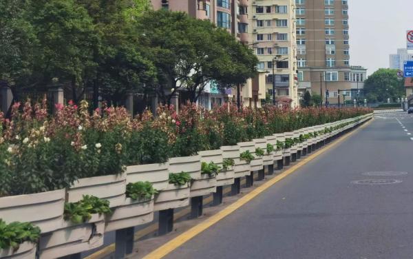 网传上海大规模布置花卉，绿化部门回应：根据实际情况养护，已延迟约一个月