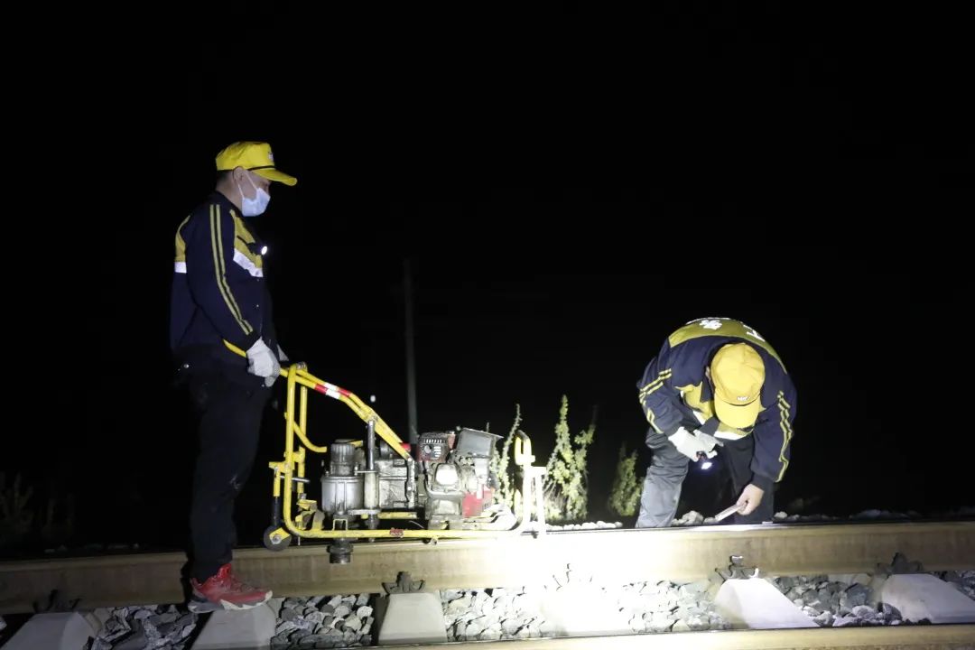 带你认识城市熟睡时的“夜行者”