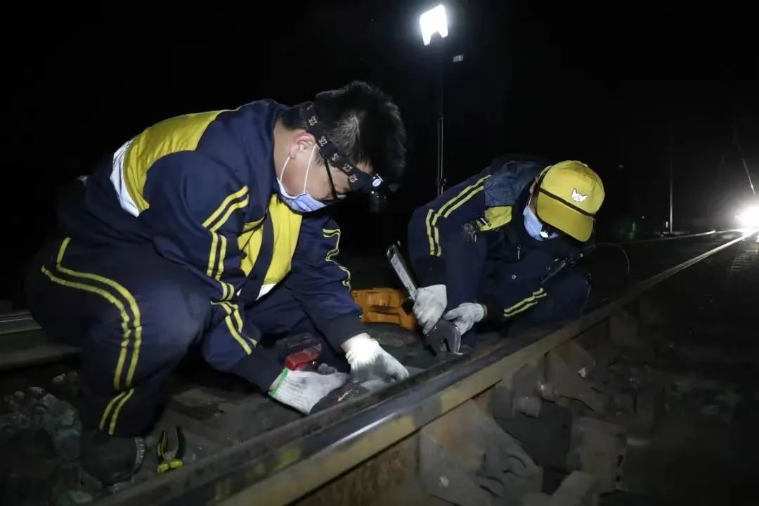 带你认识城市熟睡时的“夜行者”