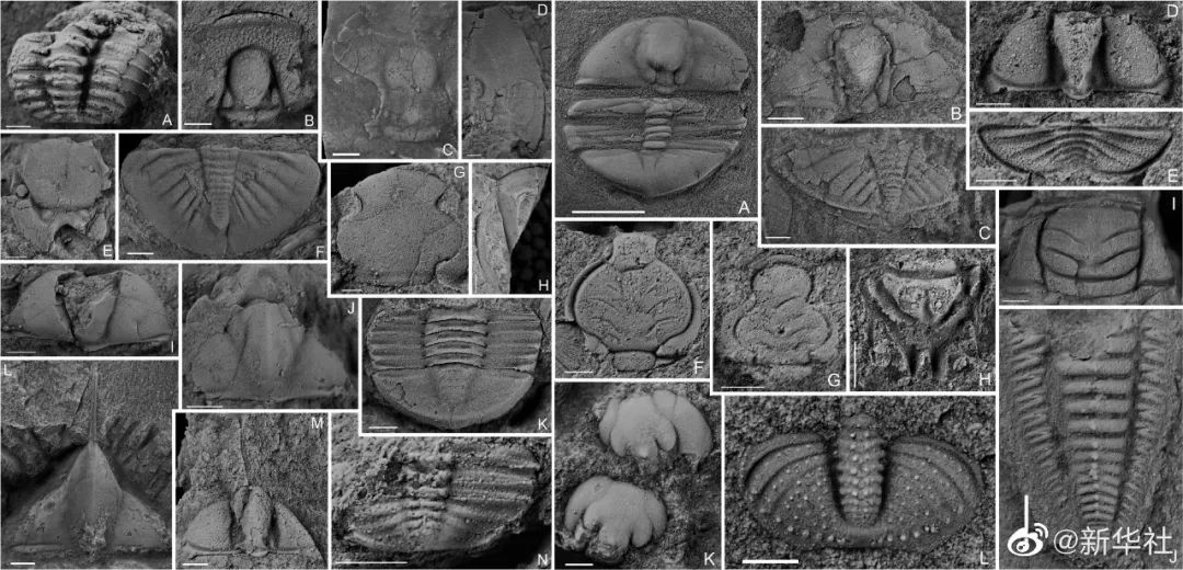 晨读成都｜注意！明日起，这里通行有变