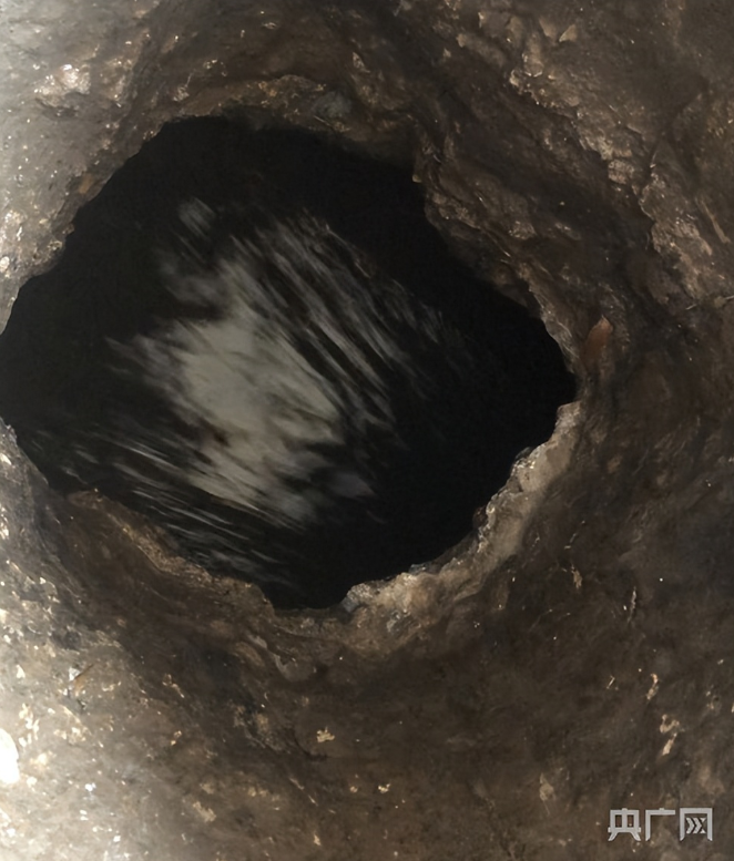 ����3����ͯ������ˮ�������ߵ�4�죡���أ���Ҷ�������Ԯ��