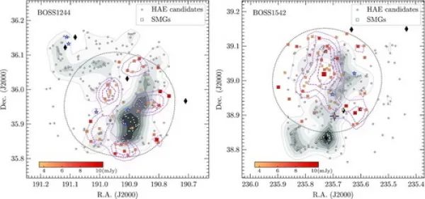 研究发现早期宇宙原星系团外围极端星暴星系聚集的观测证据