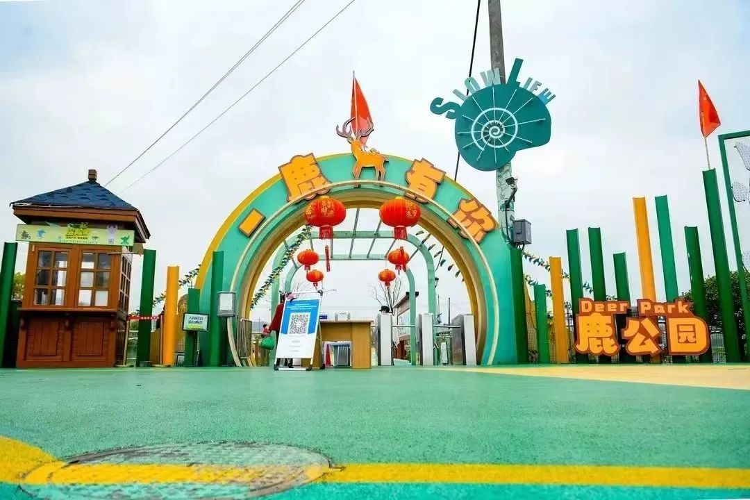 听说村里在搞大项目，萧山姑娘返乡办民宿！村企共富联合体“联”出新“钱景”
