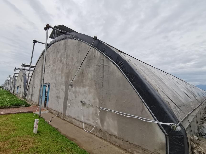 杨凌：“智”耕上合田