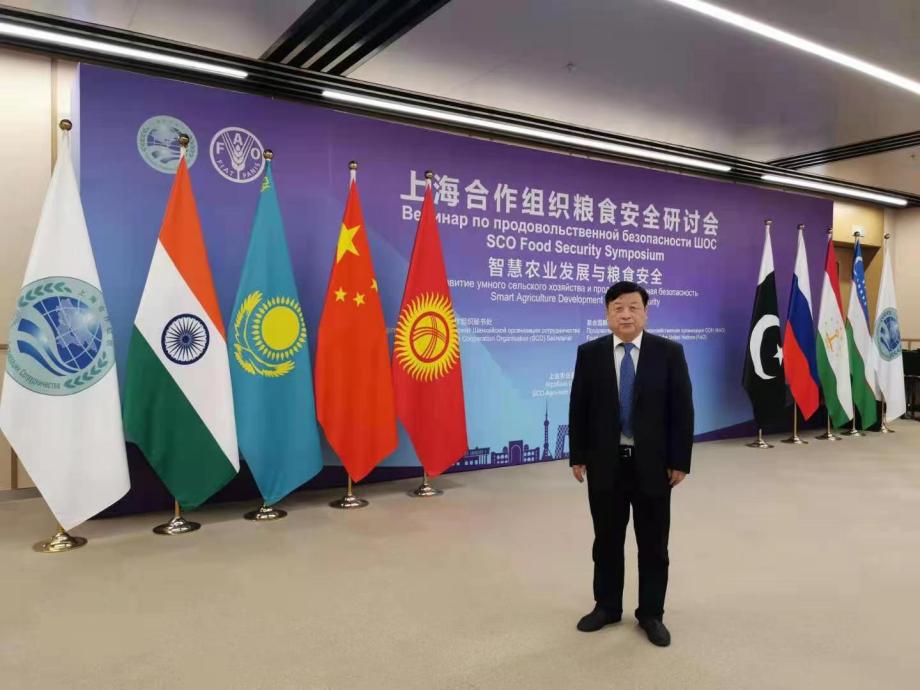 杨凌：“智”耕上合田