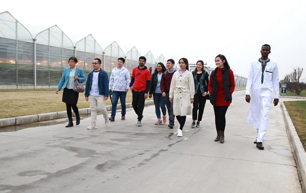 杨凌：“智”耕上合田