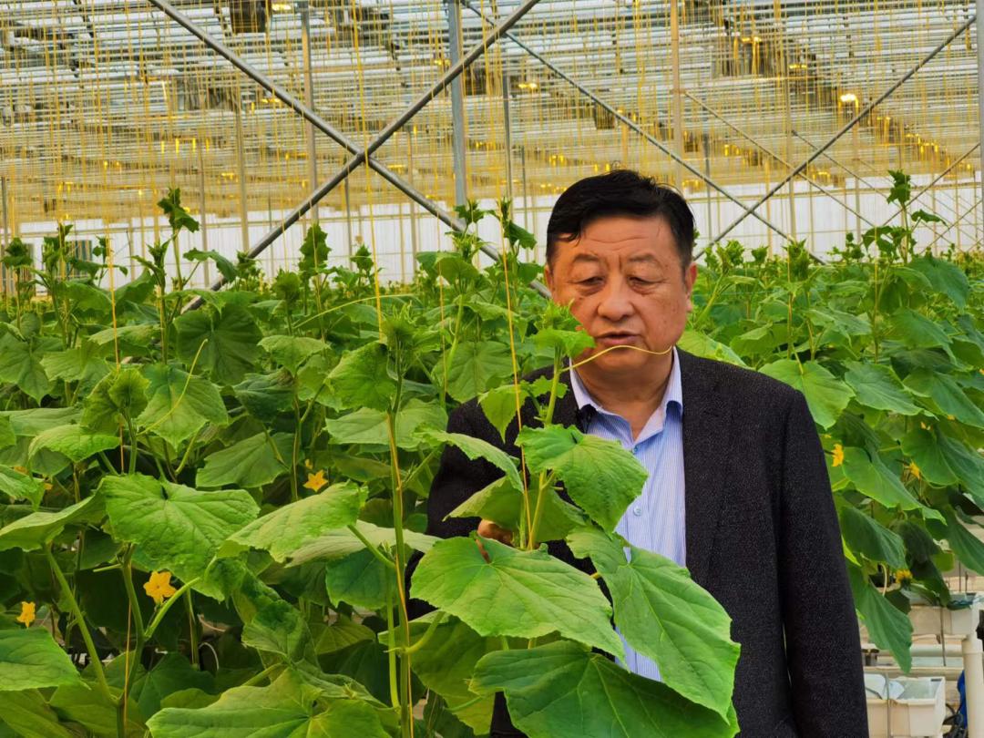 杨凌：“智”耕上合田
