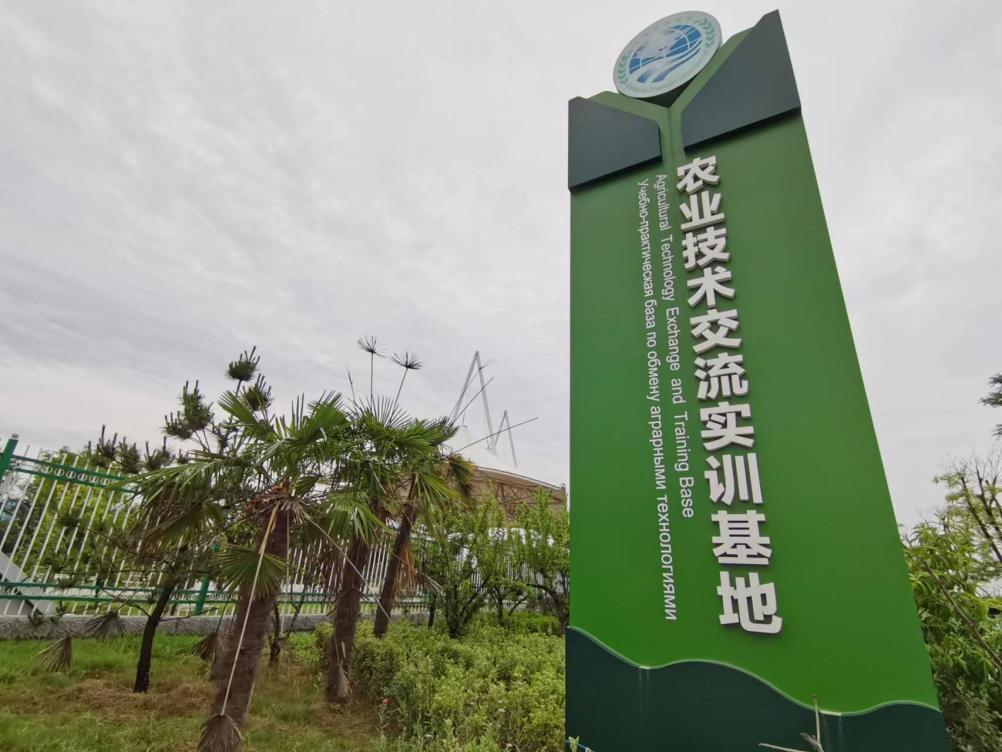 杨凌：“智”耕上合田