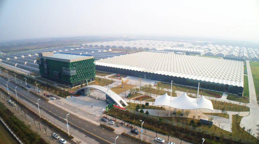 杨凌：“智”耕上合田